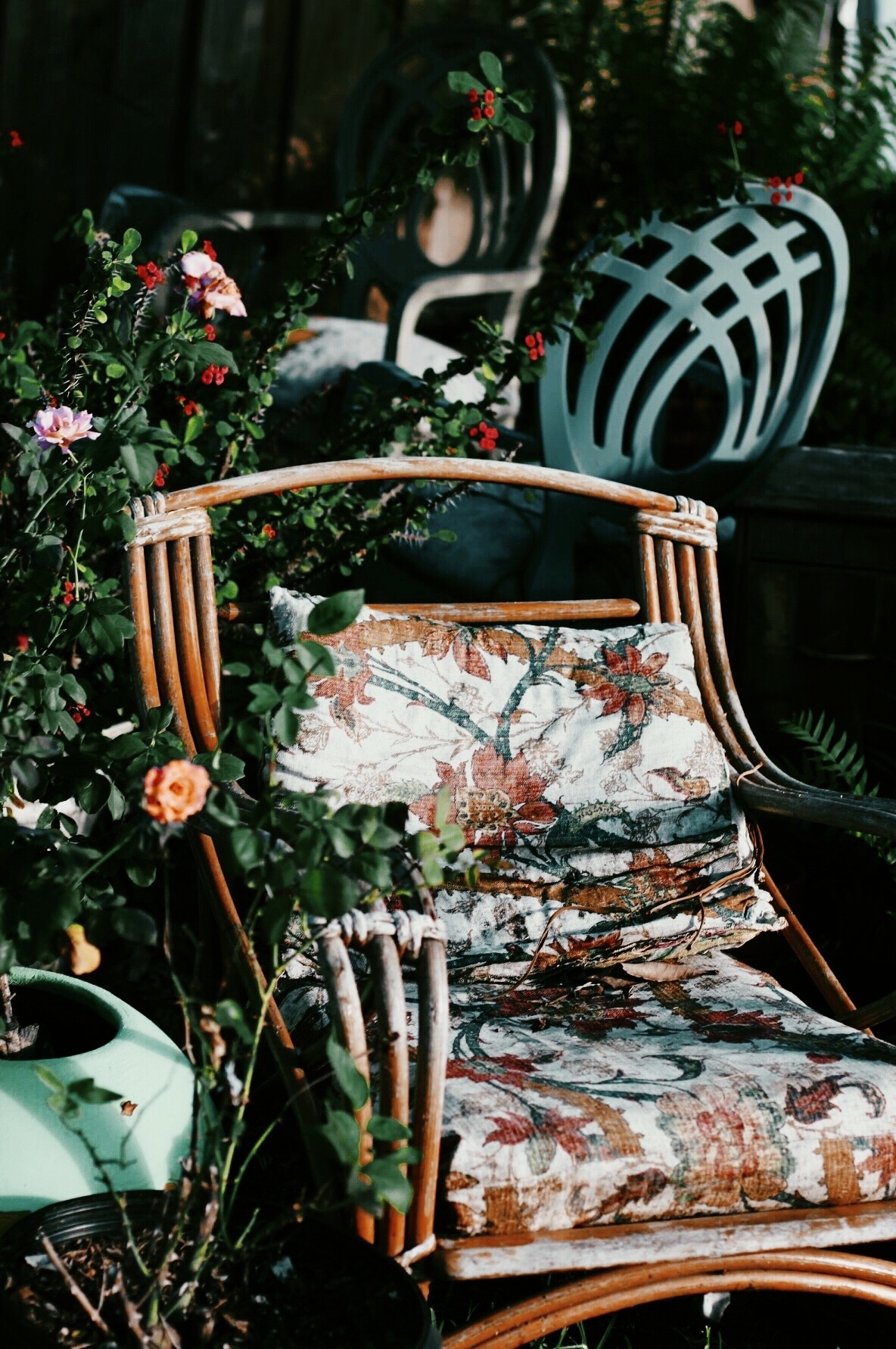 Vintage floral chair surrounded by plants